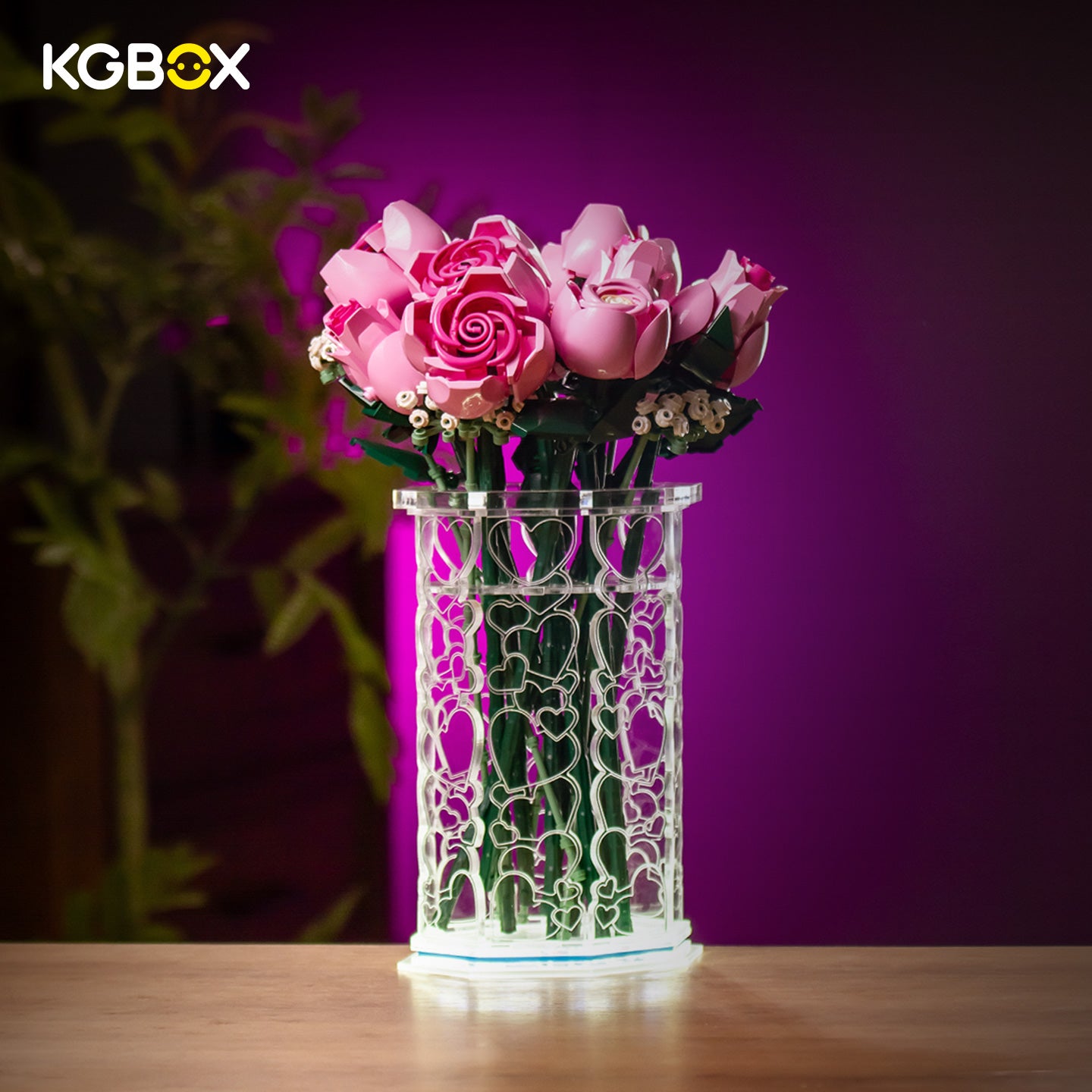 LEGO BOTANICALS DISPLAY CASE – KGBOX