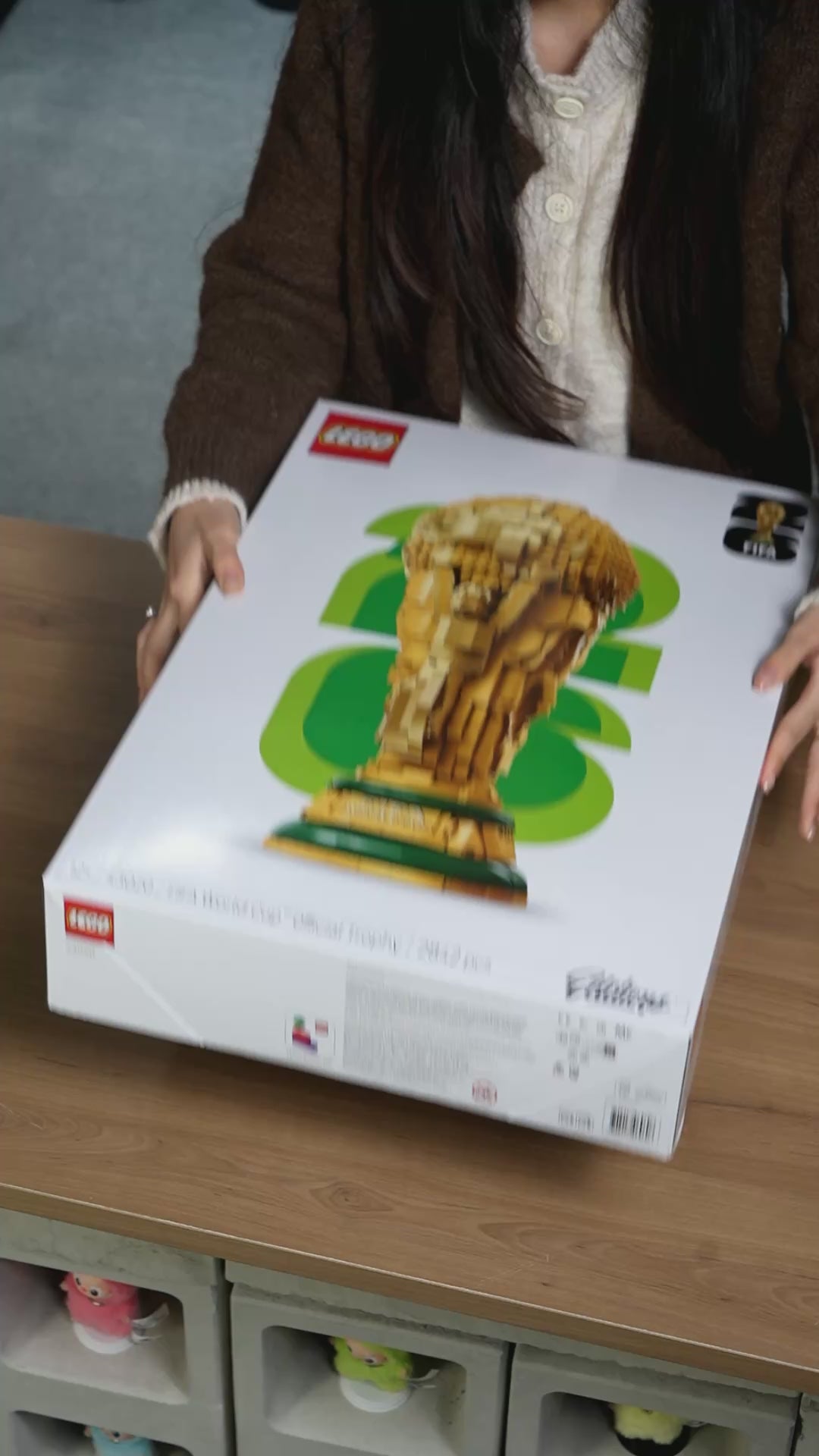 43020 LEGO FIFA World Cup Official Trophy Editions Acrylic Display Case with LED Lights Video